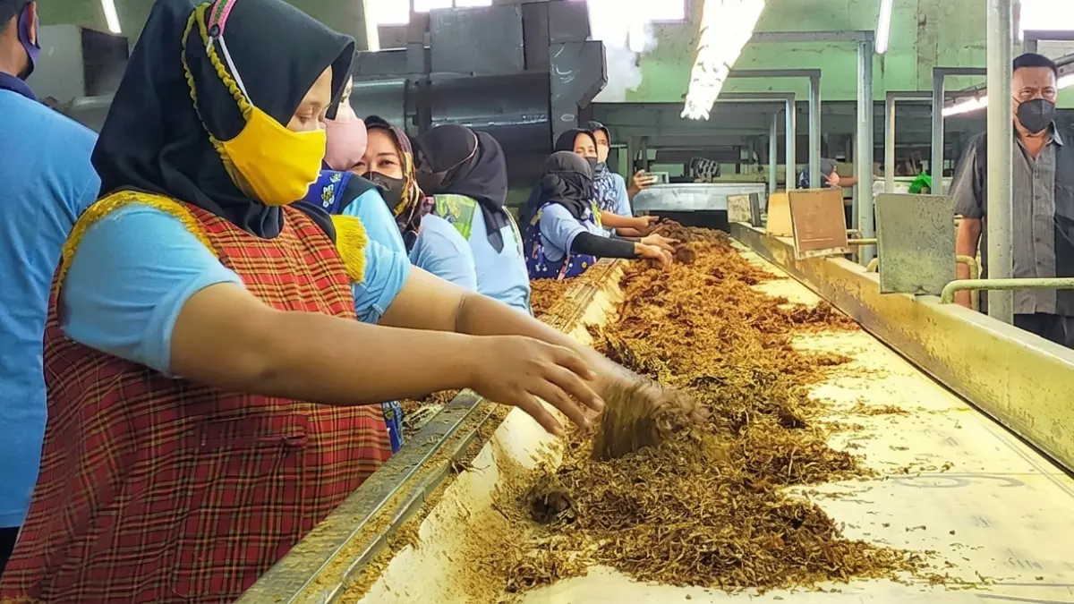 INDUSTRI ROKOK : Pekerja pabrik rokok di Bojonegoro tengah melakukan proses produksi. (HAKAM ALGHIVARI/RADAR BOJONEGORO)