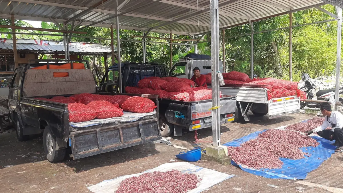 PUSAT BRAMBANG: Pasar Brambang Desa Banjarejo, Kecamatan Sumberrejo ini pusat transaksi bawang merah sebelum Indonesia merdeka. (YANA DWI KURNIYA WATI/RADAR BOJONEGORO)
