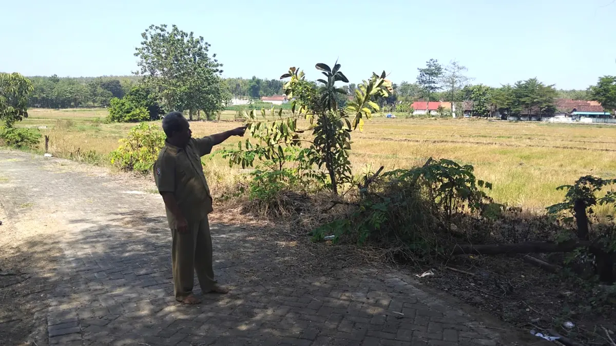 BELUM JELAS: Desa Ngelo dan Kalangan, Kecamatan Margomulyo tengah menunggu kejelasan ganti untung pembangunan Bendungan Karangnongko,. (YANA DWI KURNIYA WTAI/RADAR BOJONEGORO)