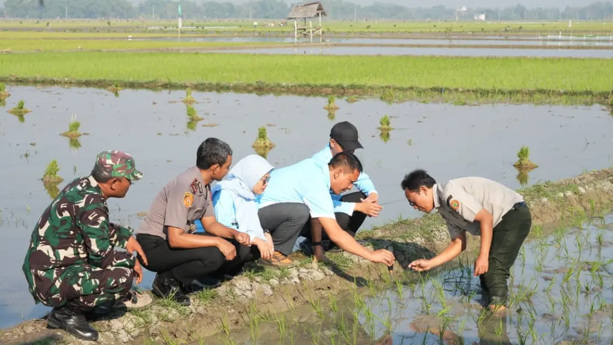 MEDHAYOH: Bupati Bojonegoro Setyo Wahono menyerahkan bibit padi varietas Gamagora dan bibit alpukat di Desa Ngraho, Kecamatan Gayam.