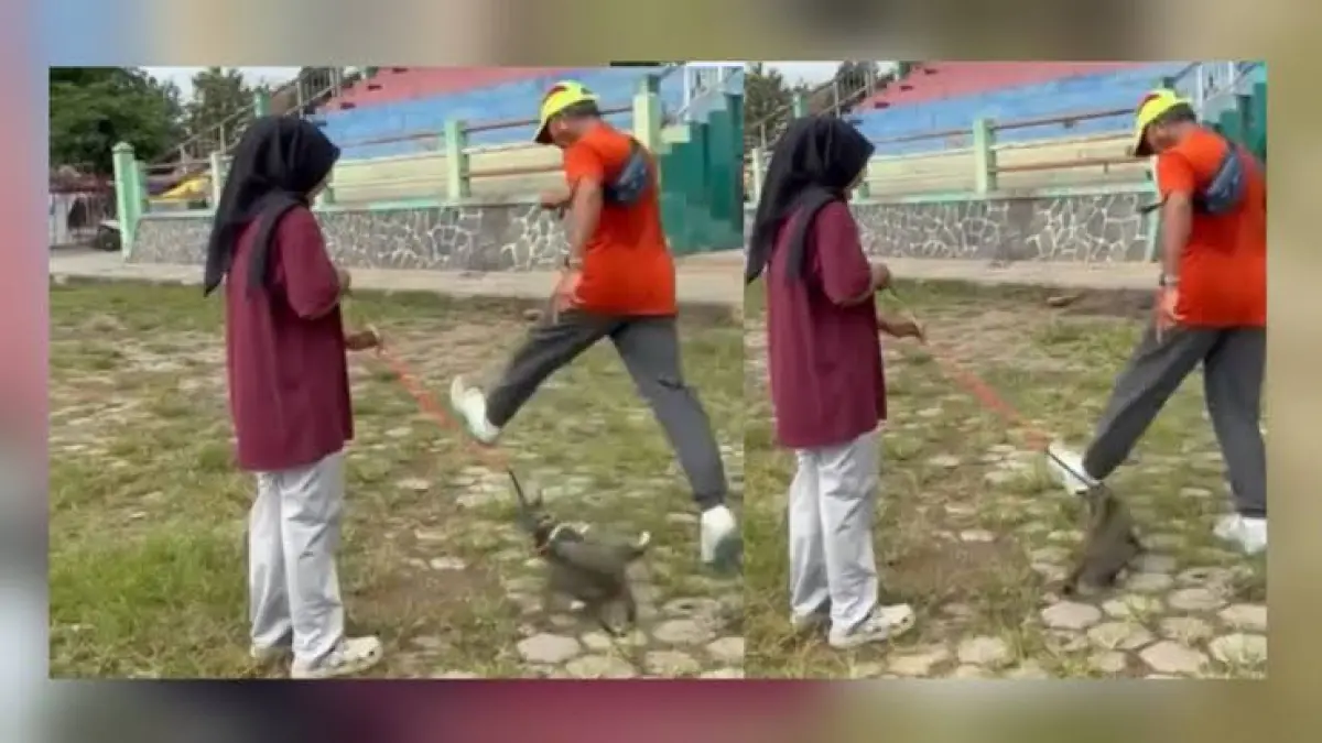 Tangkapan layar video pria menendang kucing. (ISTIMEWA/RADAR BOJONEGORO)