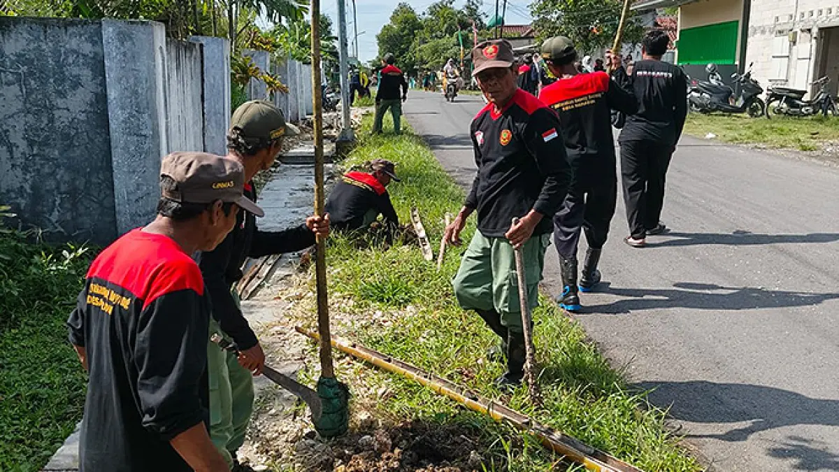 RAWAN KERING: Penanaman pohon di tepi jalan ini rawan kering saat musim kemarau. (DEWI SAFITRI/RADAR BOJONEGORO)