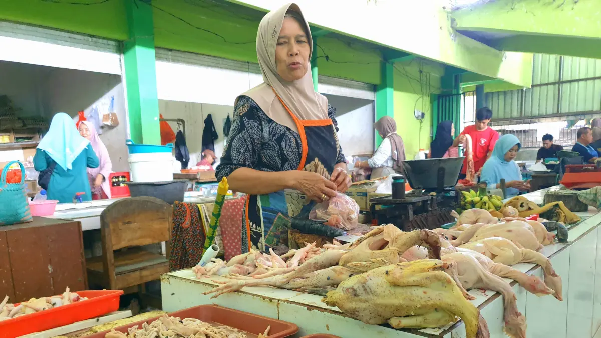 NAIK: Harga daging ayam ras di pasar Kecamatan Dander mengalami kenaikan, Kamis (30/7). (HAKAM ALGHIVARI/RADAR BOJONEGORO)