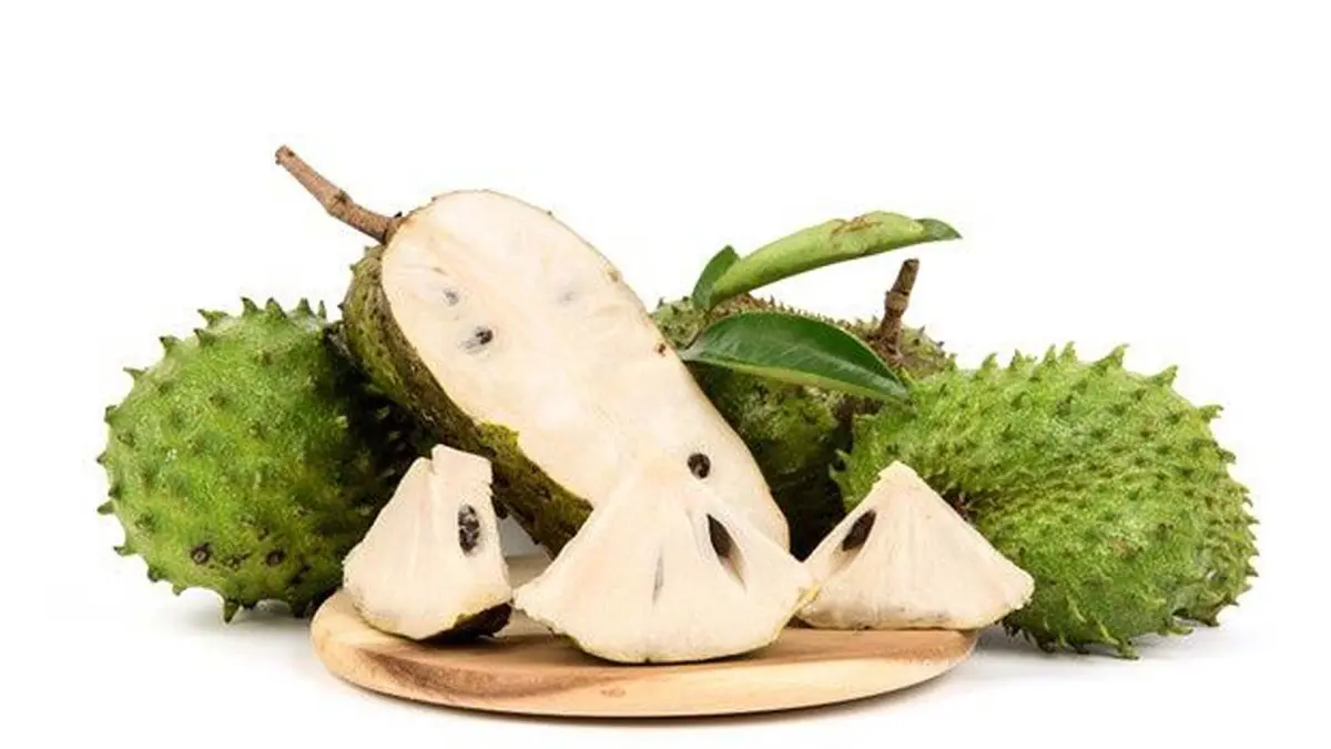 Sirsak mengandung vitamin C, serat, kalium, magnesium, serta berbagai senyawa antioksidan. (PINTEREST/ANDHIKA FERIAWAN/RADAR BOJONEGORO)