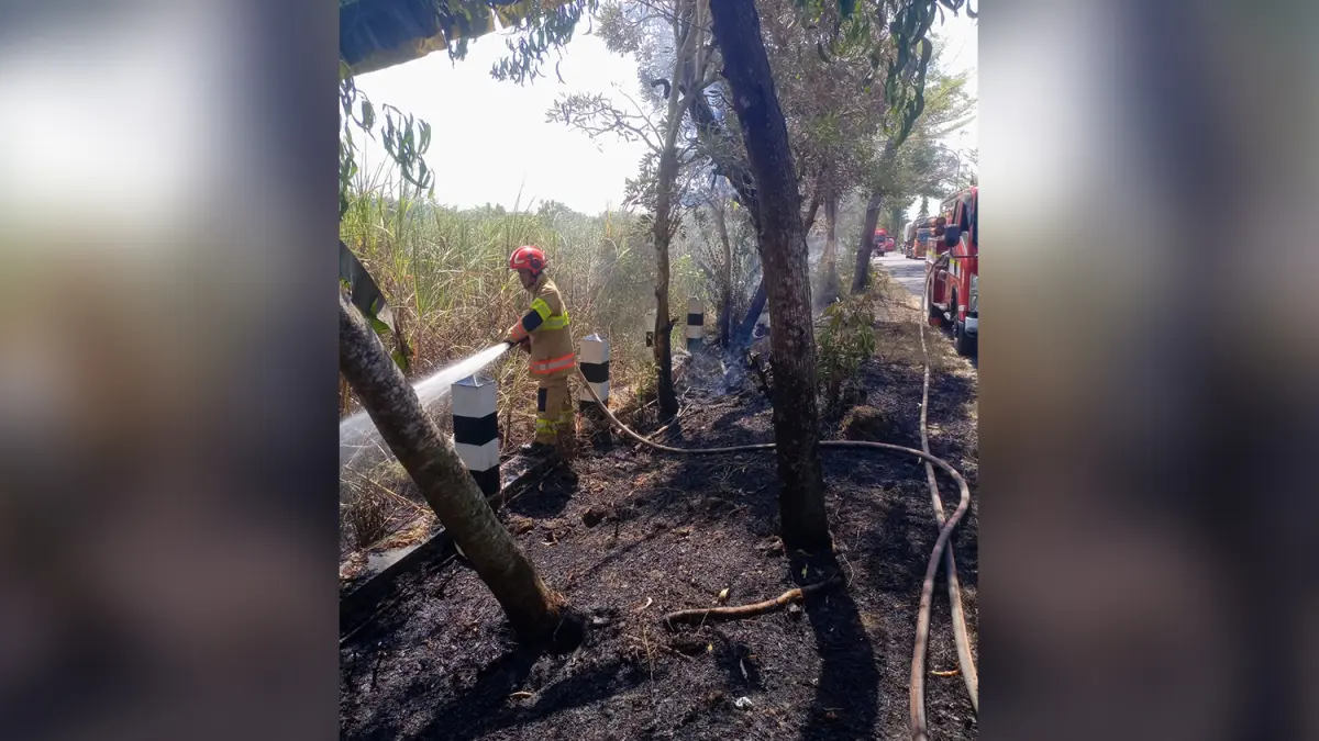 PEMBASAHAN: Petugas damkarmat memeadamkan api di tepi jalan yang diduga karena pembakaran sampah. (ISTIMEWA/RADAR BOJONEGORO)