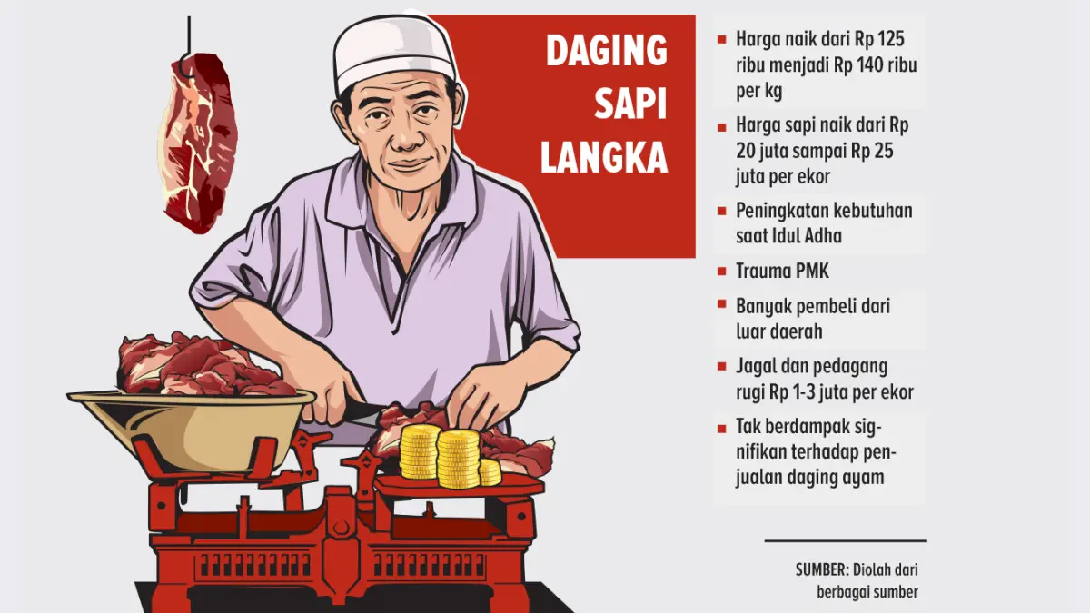 Ilustrasi dan grafis daging sapi kangka di Bojonegoro. (AINUR OCHIEM/RADAR BOJONEGORO) 