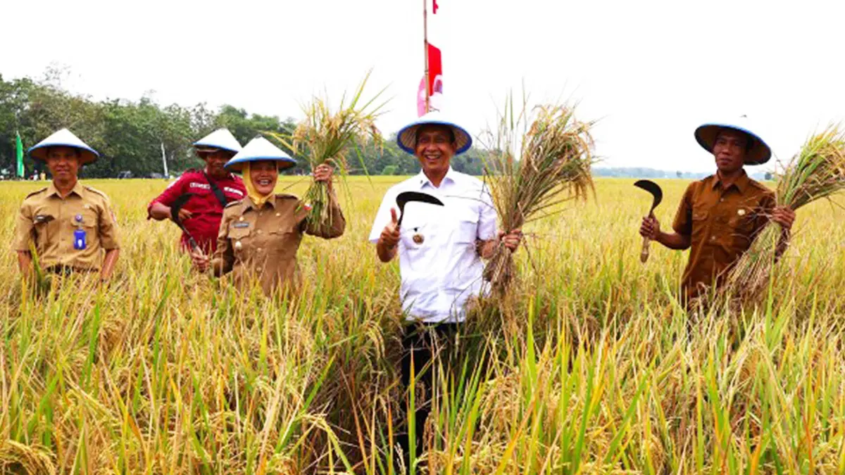 Tradisi untuk ungkapan rasa syukur kepada Tuhan atas hasil pertanian. (ISTIMEWA/ANDHIKA FERIAWAN/RADAR BOJONEGORO)