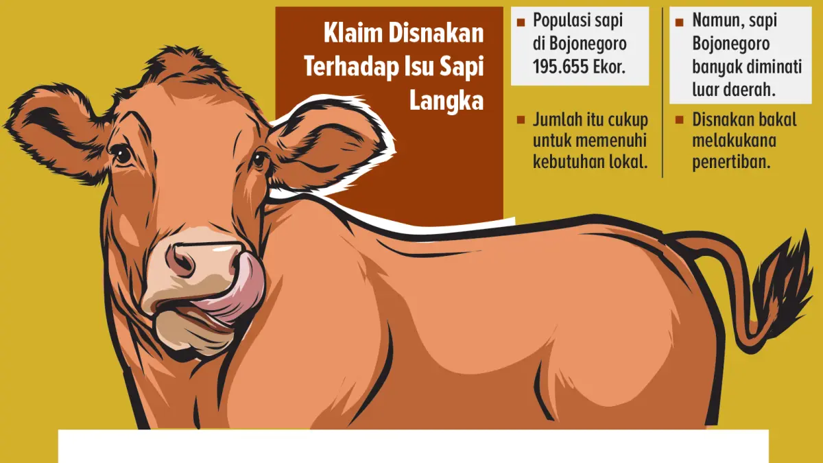 Grafis ilustrasi (AINUR OCHIEM/RADAR BOJONRGORO)