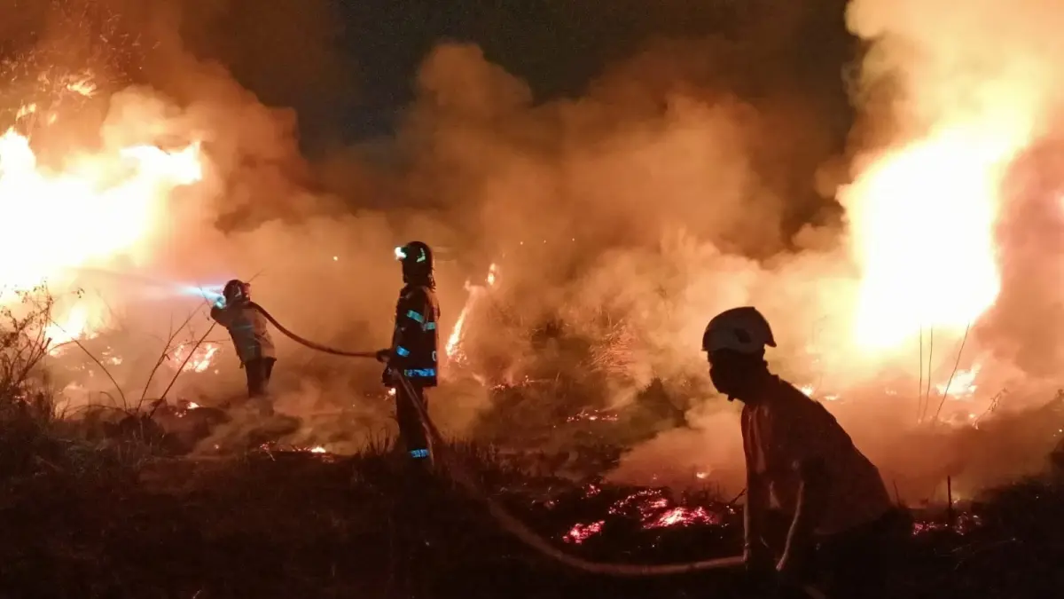 MEMBARA: Petugas berjibaku memadamkan api, sejak Januari hingga Agustus tercatat 338 kasus kebakaran. (DEWI SAFITRI/RADAR BOJONEGORO)