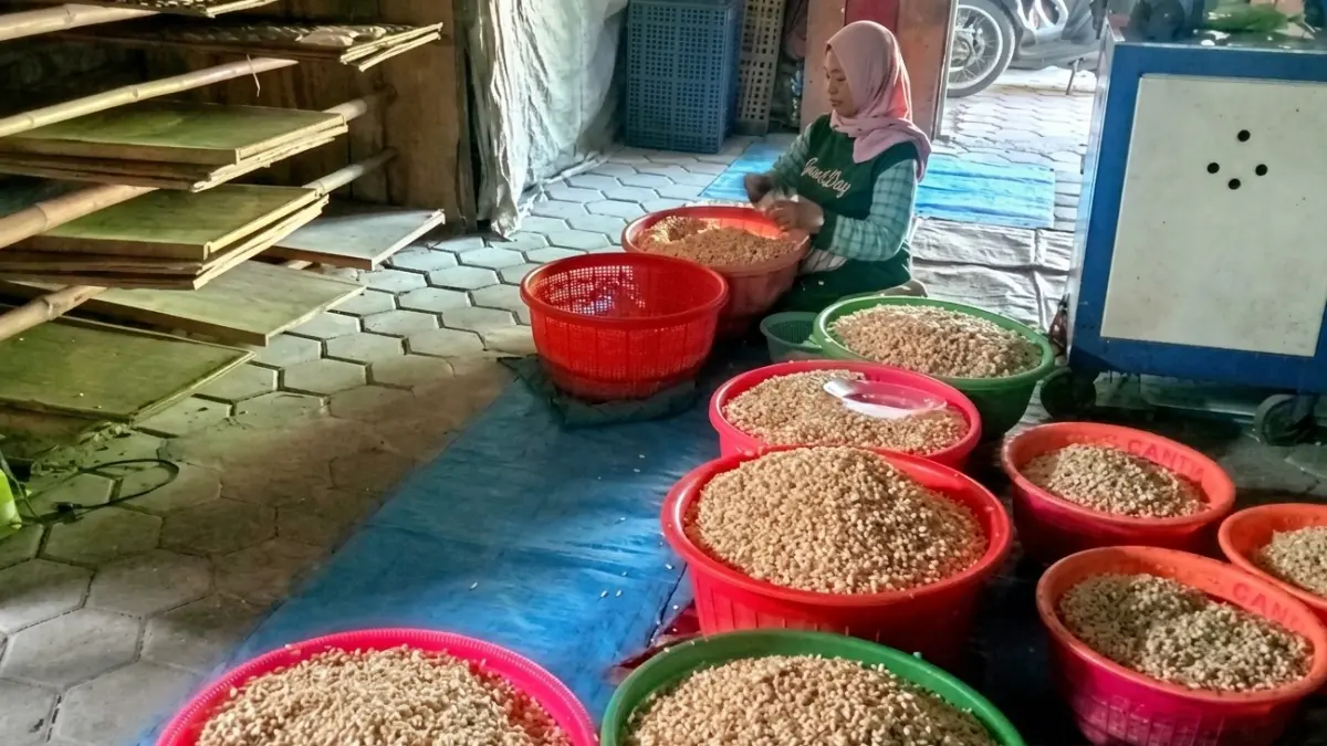 TEMPE : Perajin tempe di Bojonegoro sedang mengemas. Saat ini usaha ini menghadapi banyak tantangan. (YANA/RADAR BOJONEGORO)