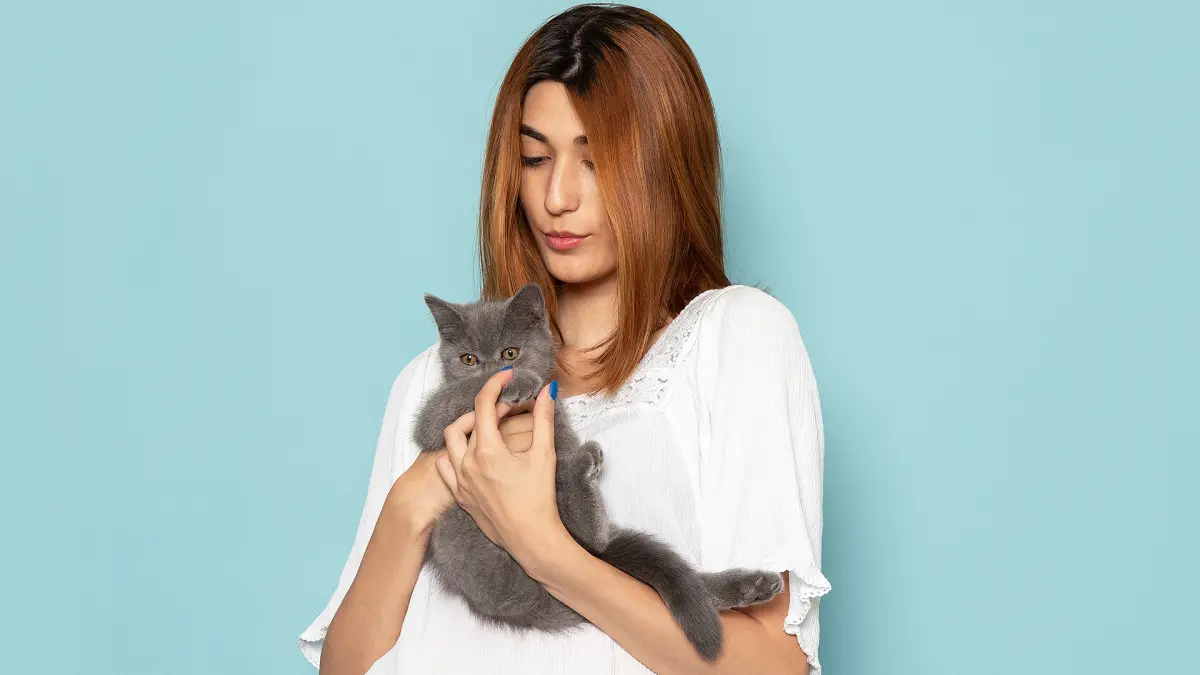 Bulu kucing dipercaya bisa menyebabkan penyakit pada paru-paru, benarkah ? (MAGNIFIC/ANDHIKA FERIAWAN/RADAR BOJONEGORO)