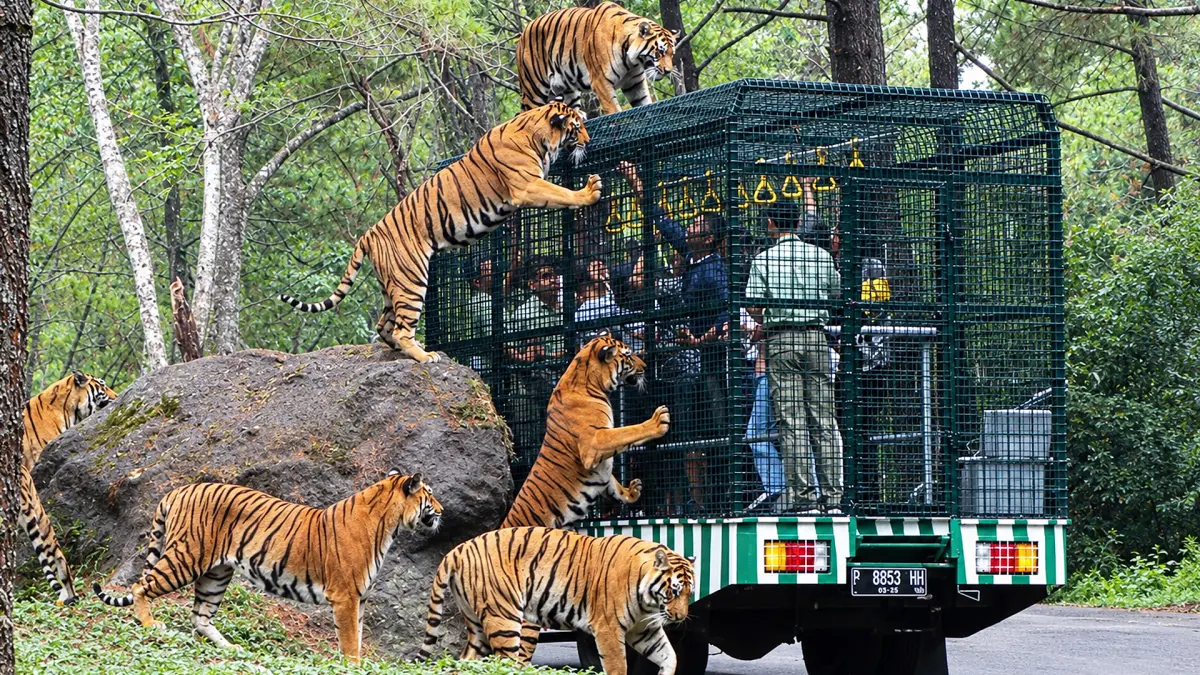 Taman Safari Prigen menjadi salah satu destinasi wisata sekaligus menambah wawasan untuk anak. (PINTEREST/ANDHIKA FERIAWAN/RADAR BOJONEGORO)