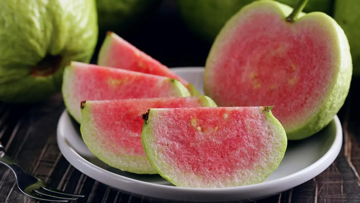Jambu Biji