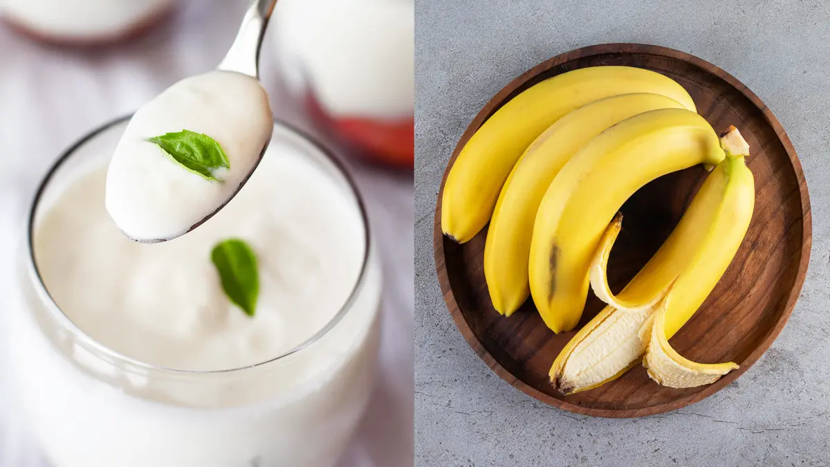 Pisang dan yogurt, makanan yang dapat menjaga kesehatan usus. (MAGNIFIC/ANDHIKA FERIAWAN/RADAR BOJONEGORO)