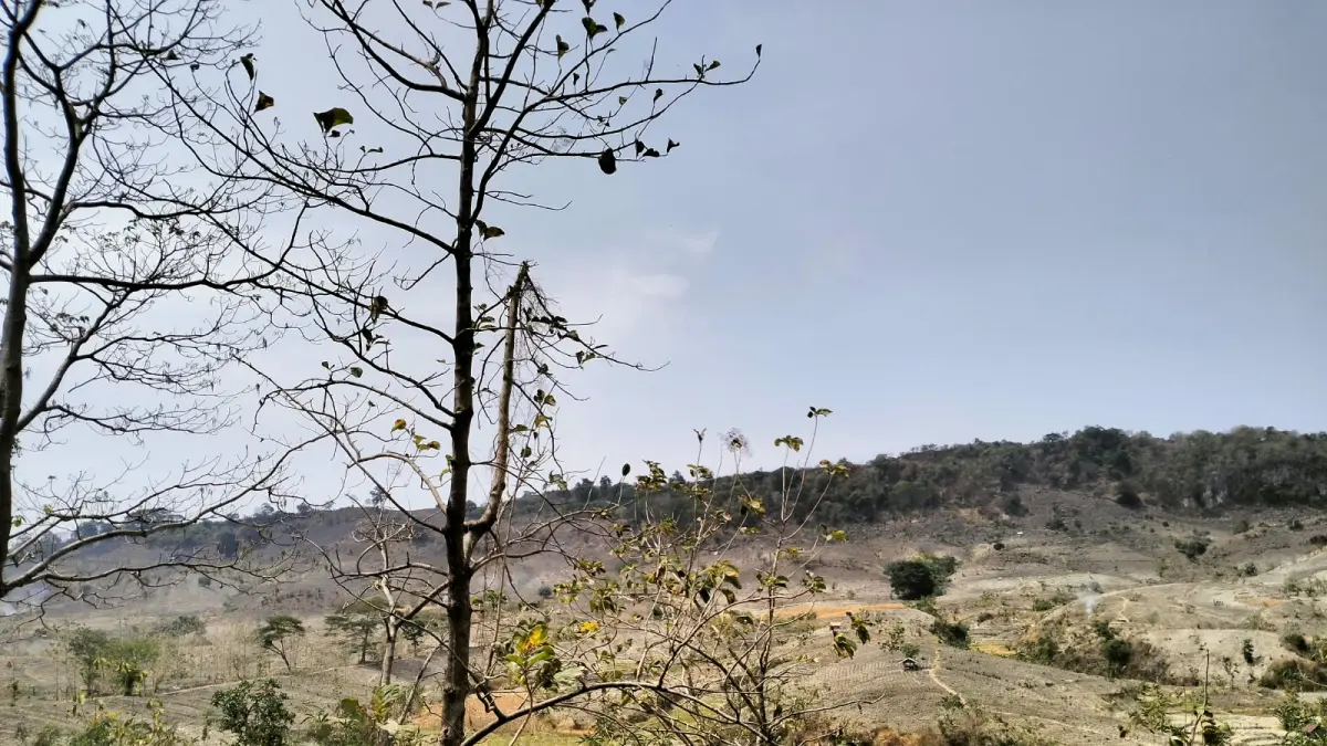 GUNDUL : Gunung Pandan yang saat ini tidak ada pohonnya. (YANA DWI/RADAR BOJONEGORO)