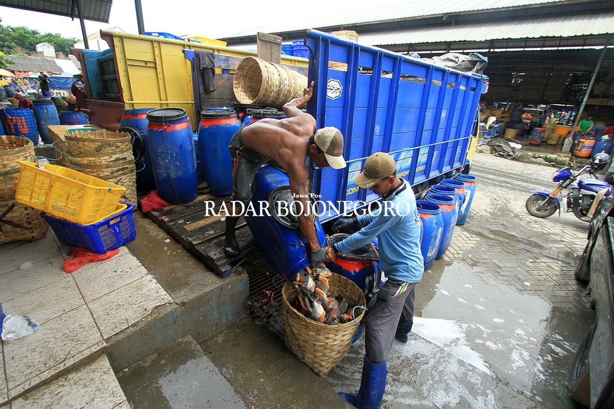 perlu-relokasi-pasar-ikan