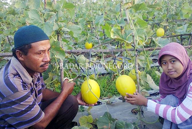 mat-iskan-petani-inovatif-dari-wilayah-pantura