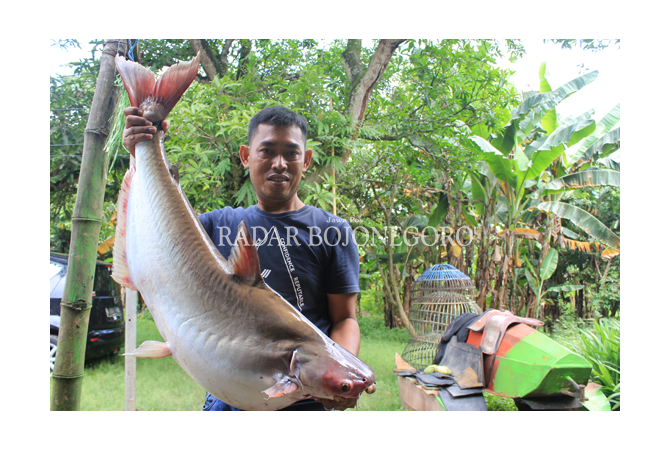 beruntung-temukan-monster-di-tepi-bengawan-solo