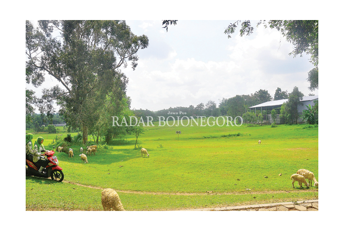 jadi-sirkuit-standar-nasional