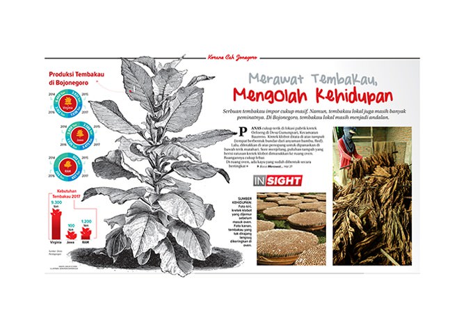 penyumbang-tembakau-terbesar-di-indonesia