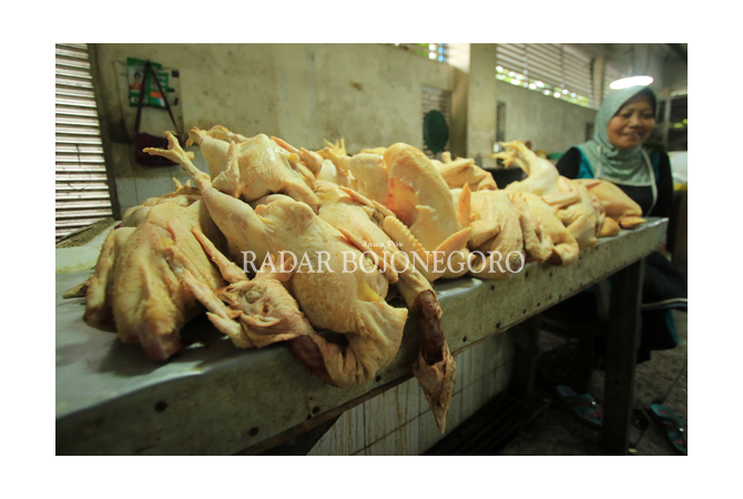 Harga Ayam Naik Tak Wajar 