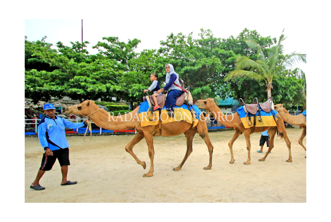 Wisata Malam Paciran Belum Dilirik
