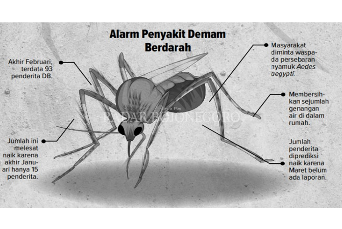 Demam Berdarah Menyerang