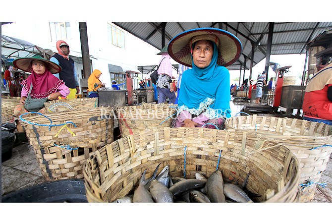 Menurun, Kiriman Ikan hanya 80 Ton Per Hari 