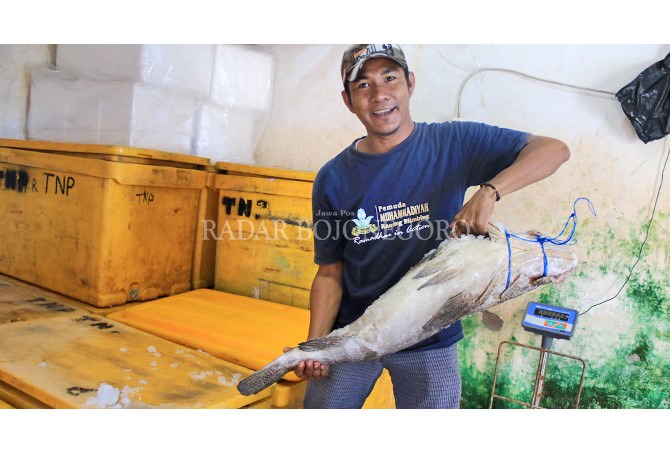 Ainur Rofiq, Eksportir Khusus Ikan Besar asal Lamongan