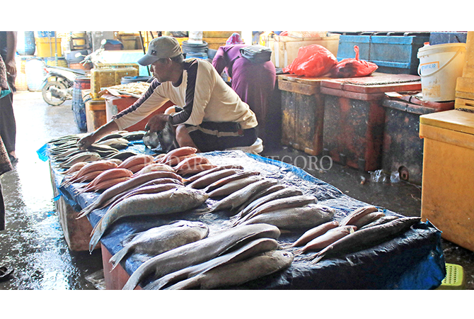 Ikan Segar Jadi Buruan Wisatawan