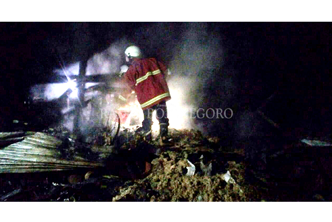 Kandang Terbakar, 21Kambing Terpanggang