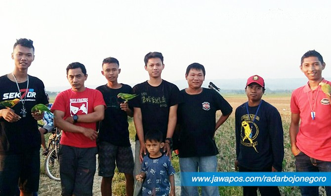 Mengenal Bojonegoro Parrot Lovers, Pecinta Burung Paruh Bengkok 