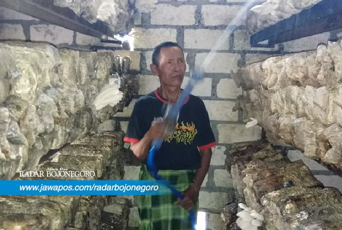 Perawatan di Musim Kemarau Lebih Sulit