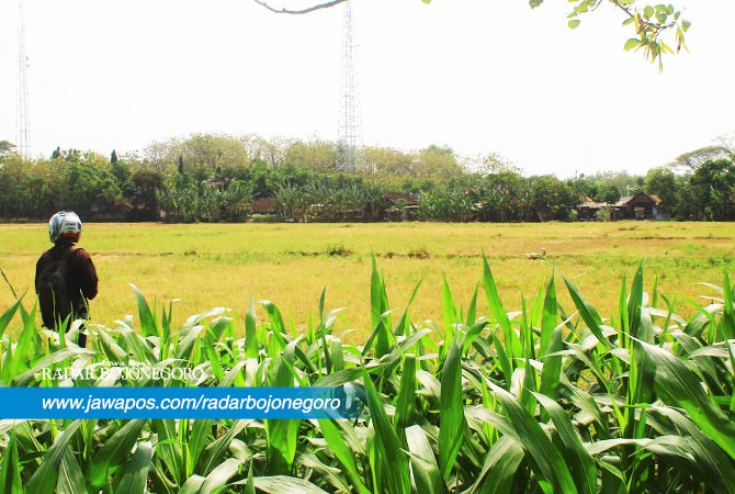 Desak Mark Up Harga Tanah Harus Diusut