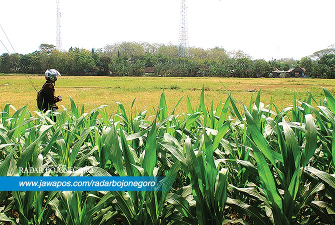 Kembalikan Selisih Bayar Pengadaan Lahan 