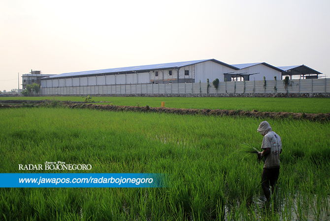 RTRW akan Dikaji Ulang