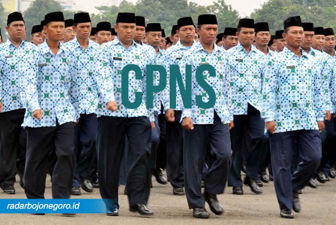 Agar Lolos, CPNS Harus Bisa Lampui Passing Grade
