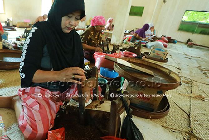 Jatuh Bangun Industri Keretek Bojonegoro