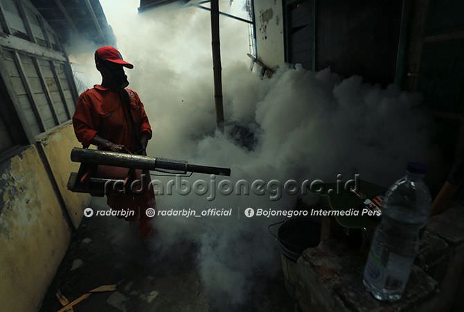 Dinilai Gagal Tangani Demam Berdarah