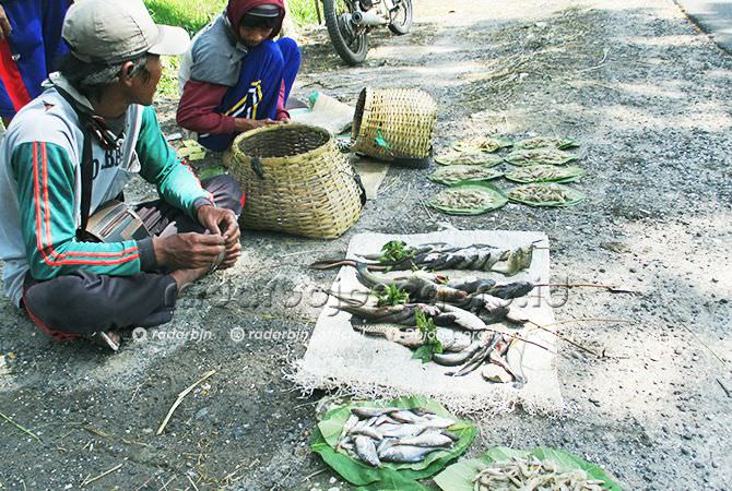 Menarik jika Ada Pasar Khusus Ikan