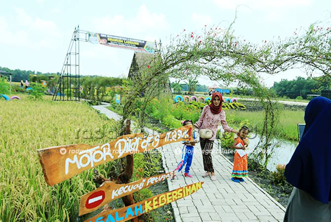 Sulap Pematang Sawah Jadi Wisata