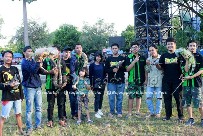 Penanganan yang Tepat Membuat Kobra Ditaklukkan