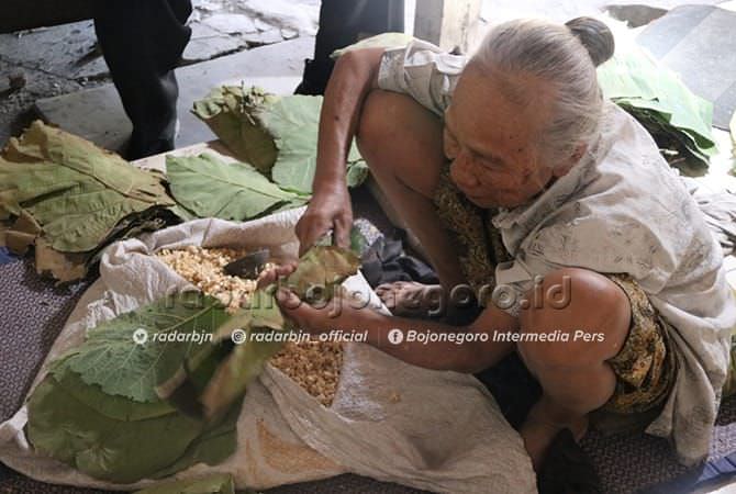 Tempe Daun Jati Masih Bertahan