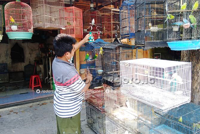 Pasar Burung Lamongan Terancam Kolaps