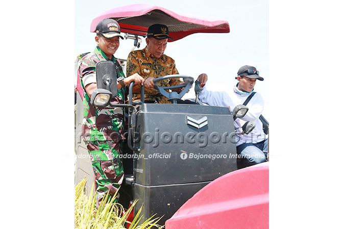 Tidak Semua Wilayah Panen Padi