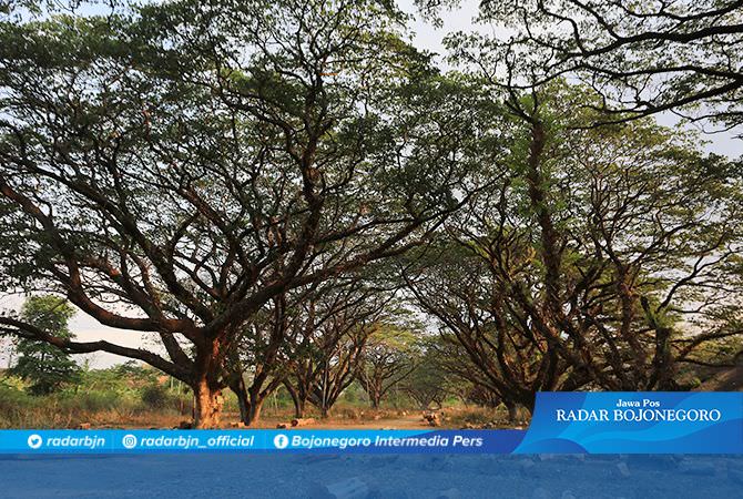 TPK Dijajaki Dibangun Taman Kota