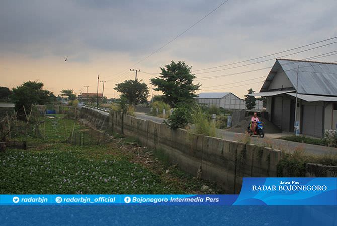 Atasi Eceng Gondok di Aliran Bengawan Jero, Siapkan Alat Berat
