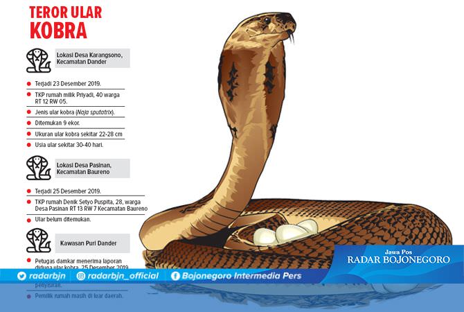 Sehari Dua Laporan Rumah Disatroni Kobra