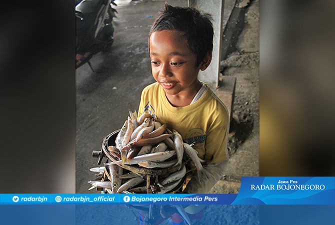 Harga Ikan Laut Naik 5 Persen