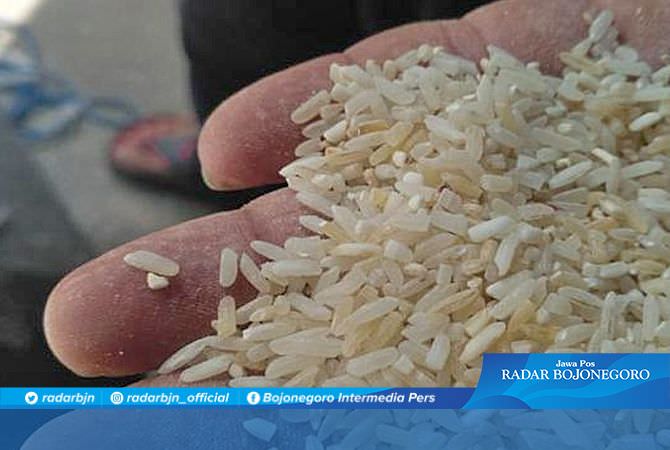 Duh, Temukan Lagi Beras BPNT Jelek